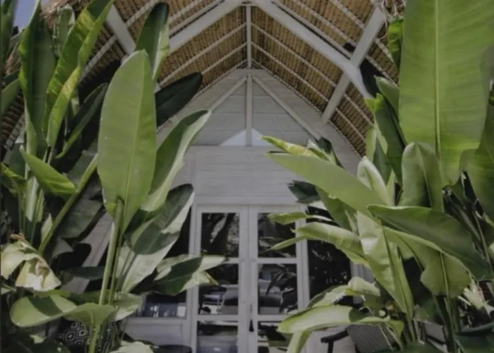 Hotel White Palm Uluwatu - Wellness & Recovery Retreat - 2 Min Walk To Balangan Jimbaran