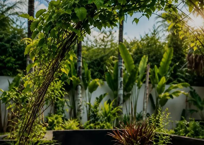 White Palm Uluwatu - Wellness & Recovery Retreat - 2 Min Walk To Balangan 4*